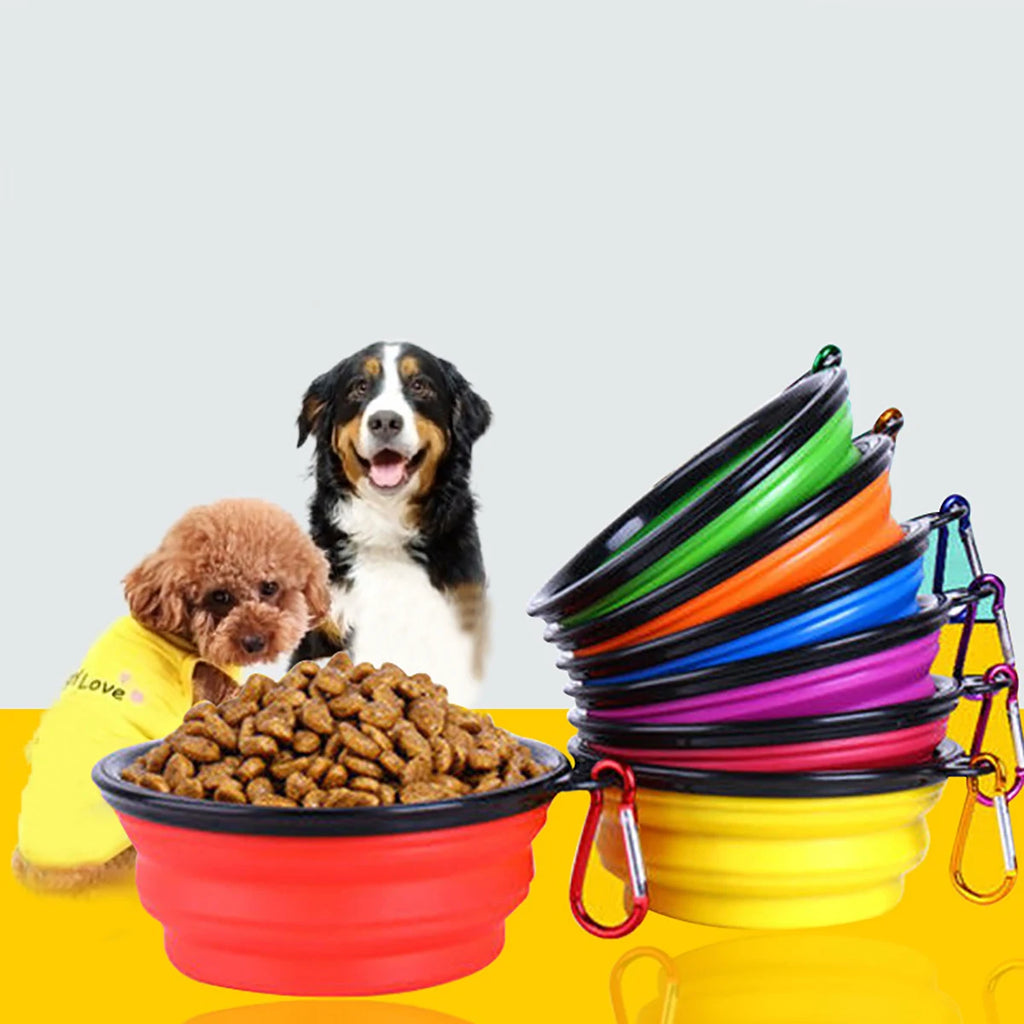 Cães junto a tigelas de várias cores, incluindo uma vermelha com alimento. Fornecida uma tigela; alimento não incluído.