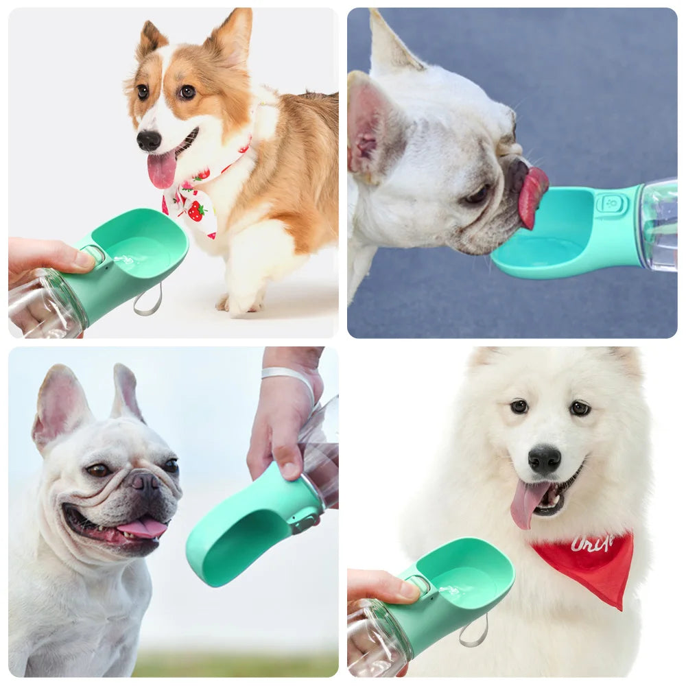 Quatro exemplos do fornecedor de cães recebendo água no bebedouro da garrafa verde.