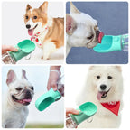 Quatro exemplos do fornecedor de cães recebendo água no bebedouro da garrafa verde.